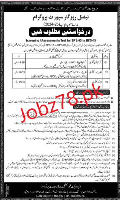 National Rozgar Support Program Punjab Jobs 2024