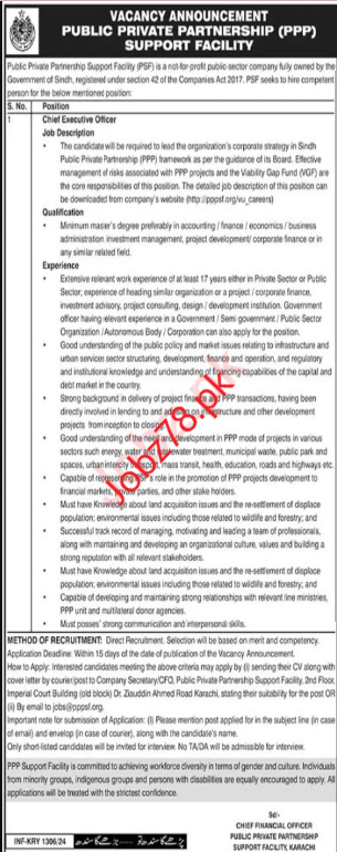 Public Private Partnership (PPP) Support Jobs May 2024